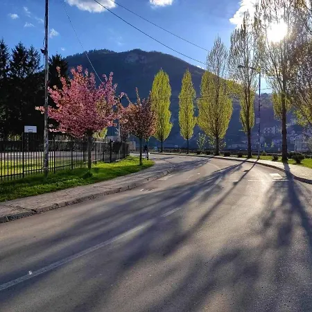 Mademoiselle Višegrad